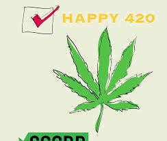 History of cannabis and how the plant spread across the world. Happy 420