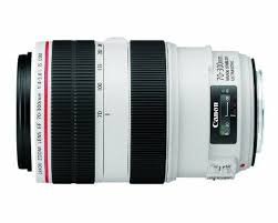 Canon 100 400 Ii With 1 4 Extender Which Dslr Lens Should I Get Best Canon Lenses Canon Lens Telephoto Zoom Lens