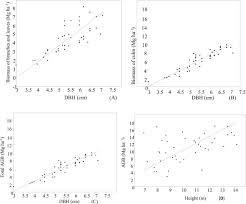 Image result for Astropanax myrianthus