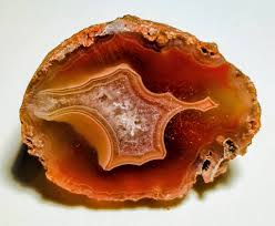 Image result for Agate Red Brown 1956 Wayne Works