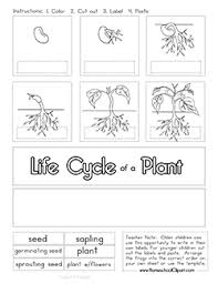 Plant Life Cycle Clipart Worksheet Coloring Page Homeschool Clipart Plant Life Cycle Worksheet Plant Life Cycle Life Cycles