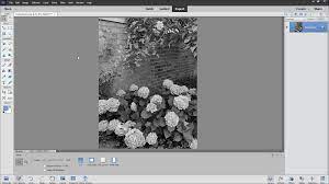 Remove Color In Photoshop Elements Instructions Adobe Photoshop Elements Photoshop Elements Photoshop