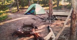 If you are camping in an rv, fishing bridge is also a good alternative to madison and bay bridge. Yellowstone Canyon The Dyrt