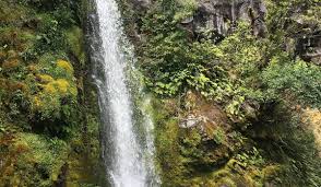 Image result for Nile Green 1951 Plymouth