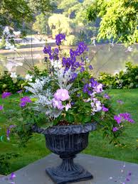 Pin On Willow Garden Design