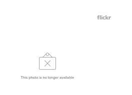 Flat shipping & 365 day returns. D Mn Tile People Again On Reasonable Cost Answers Needed Asap