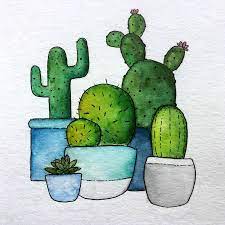 Рисунок кактуса