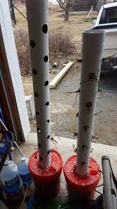 Start your aeroponics diy project and start today. Vermont Bed And Breakfast At Russell Young Farm Diy Project Growing Hydroponic Strawberry Towers At The B B Vermont Bed And Breakfast At Russell Young Farm