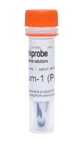 Image result for Pycreus sp.no.1