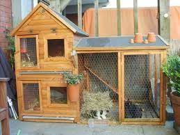 pin on rabbit houses