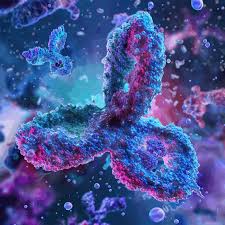 Image result for Pseudoeriosema