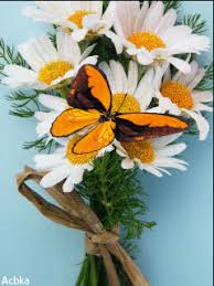 Sebagai contoh gambar gif ucapan thank you bergerak. 21 Kupu Kupu Ideas Beautiful Gif Beautiful Butterflies Butterfly Wallpaper