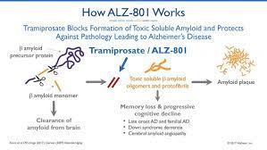 Aducanumab could unlock a monumental opportunity to radically change ad patient care and transform the market. Insights To Support A New Class Of Therapeutics In Alzheimer S Disease