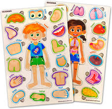 150 3 2 this is how you make a fun cardboard puzzle. Amazon Com Toddler Puzzles For Kids Ages 2 4 8 By Quokka 2 Educational Wooden Puzzles For Children 3 5 Years Old Preschool Game For Learning Human Body Parts Anatomy Skeleton Gift Toys