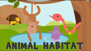 Animal Habitats Animal Homes Animals Video For Kids Animal Habitats Animals For Kids Habitat Activities