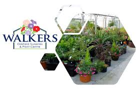 We are open every day including christmas eve. Walkers Oakfield Nurseries Online Shop Now Open Experience Chester
