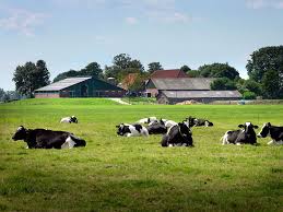 Pin Op Boekbespreking1 Brainwash