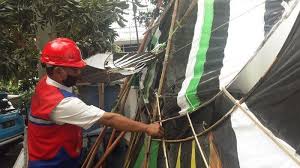Teknisi listrik pln bojonegoro : Padamnya Listrik Di 8 Kabupaten Di Jatim Dipicu Layang Layang Ini Penjelasan Pln Surya