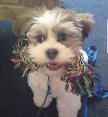 Thank you for adding Walter and myself to your group. These are photos if a  young Walter. Over the years, he has turned into a Super Chonk!