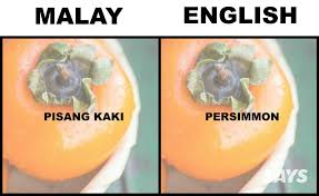 Buah yang sudah matang dapat dikonsumsi langsung atau diolah terlebih dahulu dengan cara sederhana. What S Pandan And Ciku In English We Dug Up Translations Of 16 Produce Malaysians Love