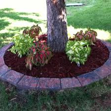 Coleus Around Tree Landscaping With Rocks Flower Beds Flower Pot Design