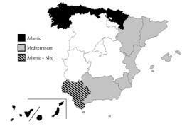 España está dividida en 17 comunidades autónomas, cada una con su historia, cultura, gastronomía y características. El Rol De Espana Y Sus Regiones En Los Programas De Cooperacion Territorial Europea Aecr