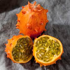 Image result for Cucumis metuliferus