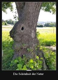 Die Schonheit Der Natur Lustige Bilder Spruche Witze Echt Lustig