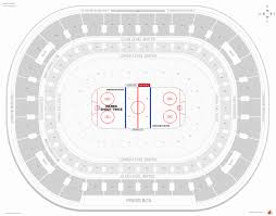 Described Blackhawks Arena Seating Chart Anaheim Ducks