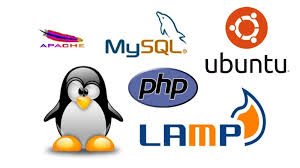 Pin On Php Mysql