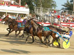 2017 Darke County Fair's harness racing concludes
