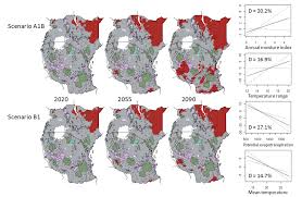 Image result for Acacia pilispina