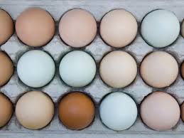 I personally have tried this method and would not recommend it. How To Store And Preserve Eggs