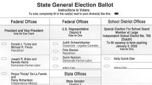 Duluth General Election Sample Ballot 2020 Perfect Duluth Day