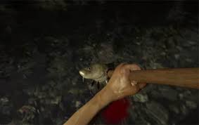 Image result for Finding Food in the Woods