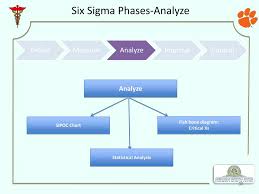 Ppt Six Sigma In Healthcare Training Model For Greenville
