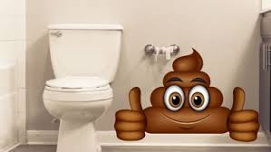 How does she feel about the 4) what does the agent think about the bathroom in the property? Are You Pooing Properly Queensland Health