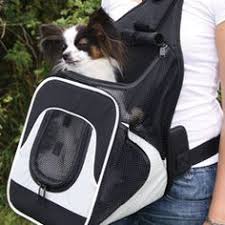 Bauchtrage Fur Kleine Tiere Hunde Hundetransport Kleine Tiere Hundetransport Fressnapf