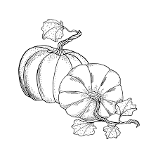 These pumpkin coloring pages are great for halloween, fall, and thanksgiving. Pumpkin Coloring Pages 8 Free Fun Printable Coloring Pages Of Pumpkins That Celebrate Fall Printables 30seconds Mom