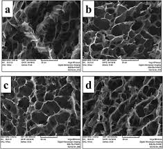 Dacă sunteți interesat să solicitați. Highly Conducting And Biocompatible Polypyrrole Poly Vinyl Alcohol Cryogels Sciencedirect