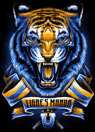 Maybe you would like to learn more about one of these? Illustration Done For Tigres Uanl 5 Tints On Black Tee Tiger Artwork Tiger Art Tiger Illustration