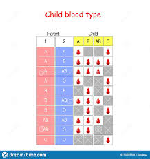 Child Blood Type Diagram Stock Vector Illustration Of