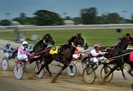 Louth park rd, maitland (nsw), 2320, australia. Past Events Maitland Showground Events Markets Camping