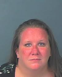 HCSO Arrests Public Records Results