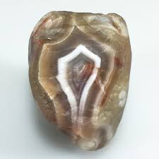 Image result for Agate Red Brown 1956 Wayne Works