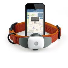 Gps Dog Tracking System Tanitici