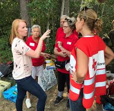 Annie lööfs markering mot greta. Afs Eller Sd 2018 Ungdomar Mobil