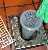 Prevent Floor Drain Clogs With This Plastic Floor Drain Strainer Pop In And Pop Out Plastic Flooring Floor Drains Flooring