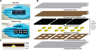 Maybe you would like to learn more about one of these? A Modular Paper And Plastic Device For Tuberculosis Nucleic Acid Amplification Testing In Limited Resource Settings Scientific Reports