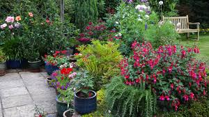 Replace dead grass with st. Winter Gardening How To Maintain Your Garden In The Cooler Months Starts At 60